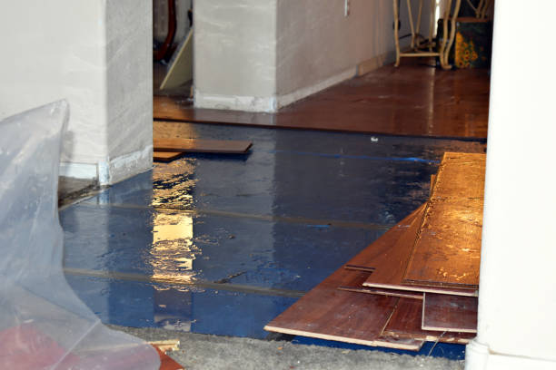 Professional Structural Drying And Dehumidification technician working in Malone, TX